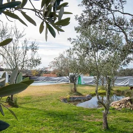 Country house La Platea Rural Seville