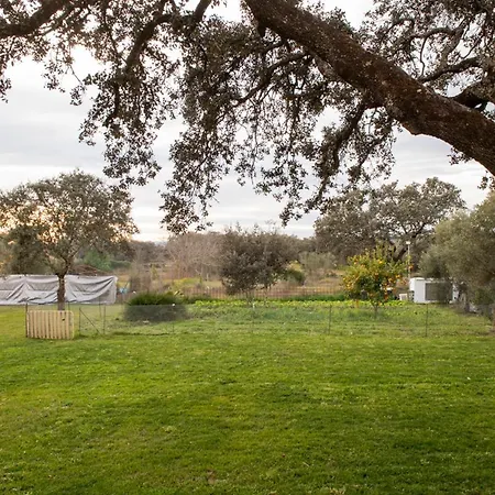 Country house La Platea Rural *