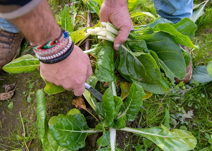 La Platea Rural Εξοχικό σπίτι Σεβίλλη